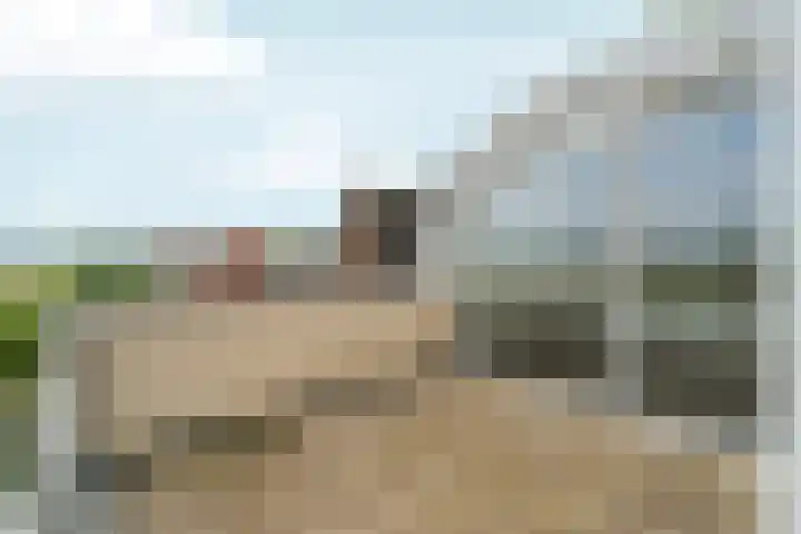 Zutphensestraatweg 88 Dieren thumbnail 14
