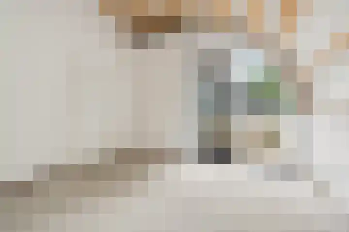 Zutphensestraatweg 88 Dieren thumbnail 18