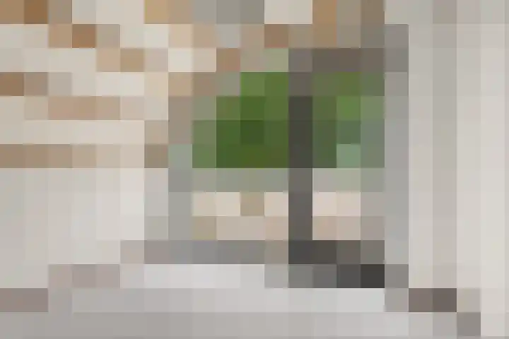 Zutphensestraatweg 88 Dieren thumbnail 21