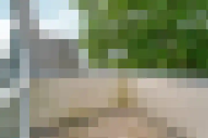 Zutphensestraatweg 88 Dieren thumbnail 22