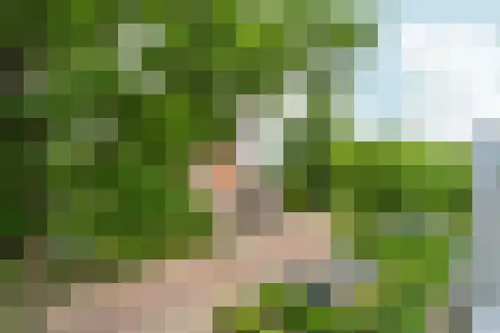 Zutphensestraatweg 88 Dieren thumbnail 23