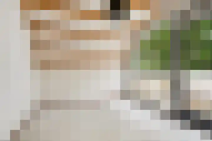 Zutphensestraatweg 88 Dieren thumbnail 24