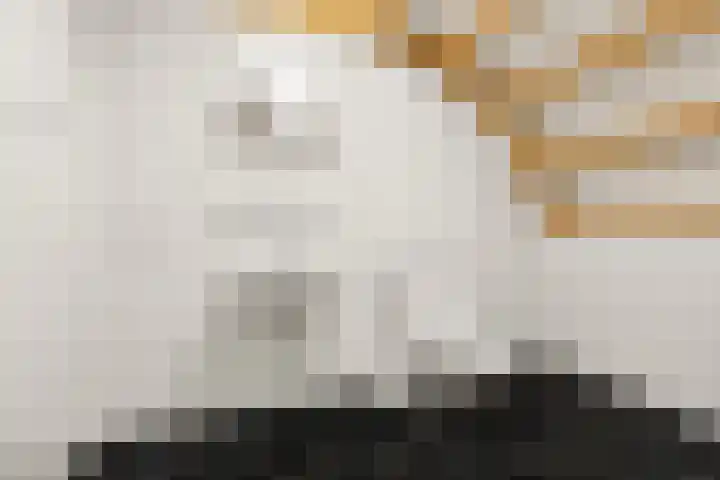 Zutphensestraatweg 88 Dieren thumbnail 27