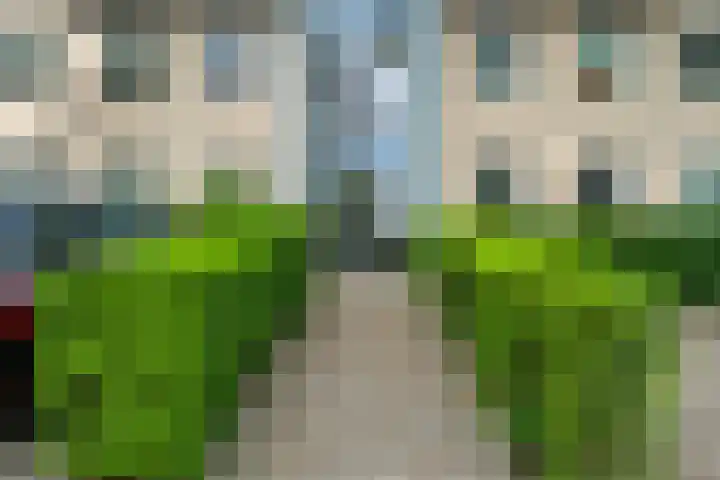 Zutphensestraatweg 88 Dieren thumbnail 33