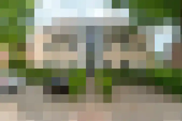 Zutphensestraatweg 88 Dieren thumbnail 34