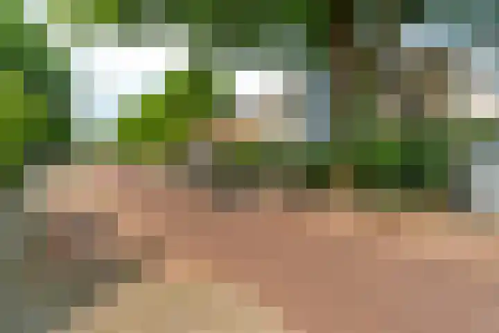 Zutphensestraatweg 88 Dieren thumbnail 37