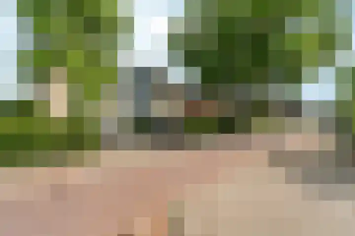 Zutphensestraatweg 88 Dieren thumbnail 38