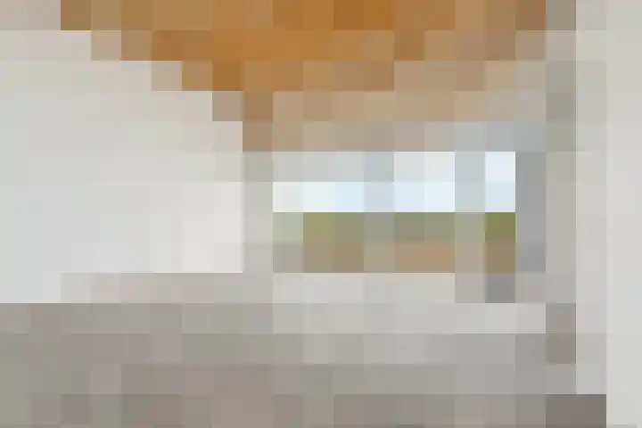 Zutphensestraatweg 88 Dieren thumbnail 4