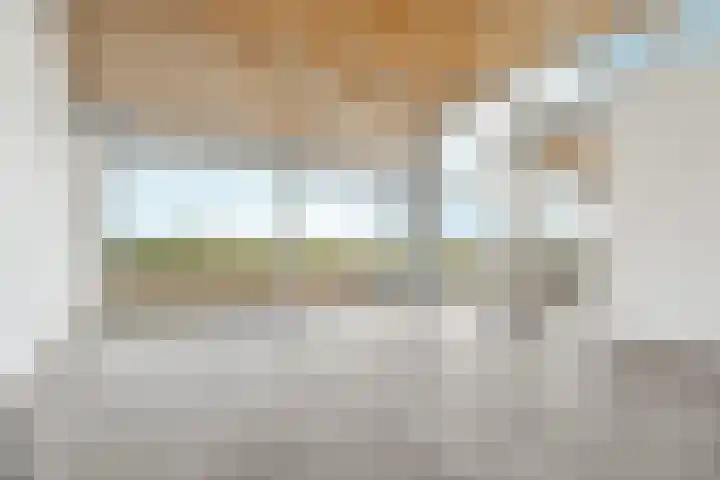 Zutphensestraatweg 88 Dieren thumbnail 5