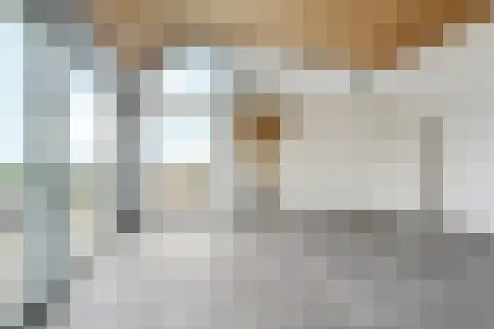 Zutphensestraatweg 88 Dieren thumbnail 6