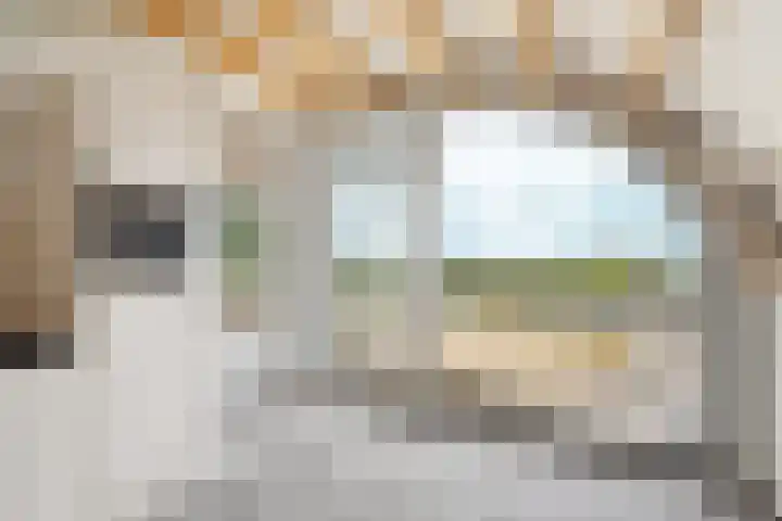 Zutphensestraatweg 88 Dieren thumbnail 9