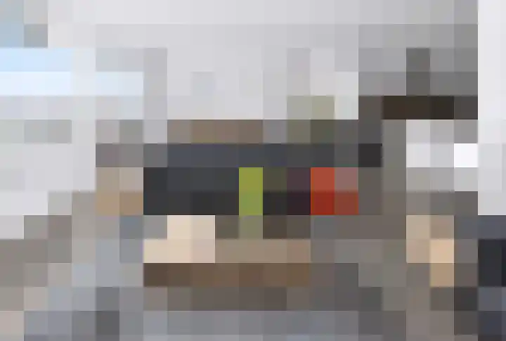 Zutphensestraatweg 94 Dieren thumbnail 10