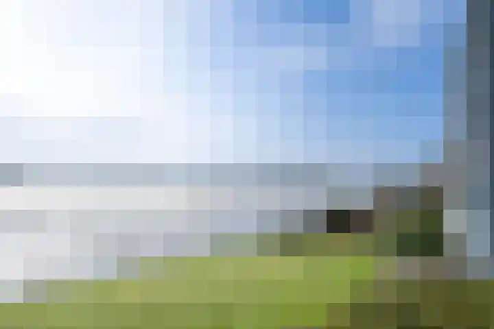 Zutphensestraatweg 94 Dieren thumbnail 30