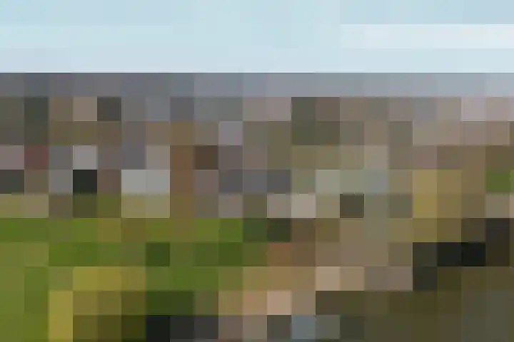 Zutphensestraatweg 94 Dieren thumbnail 35
