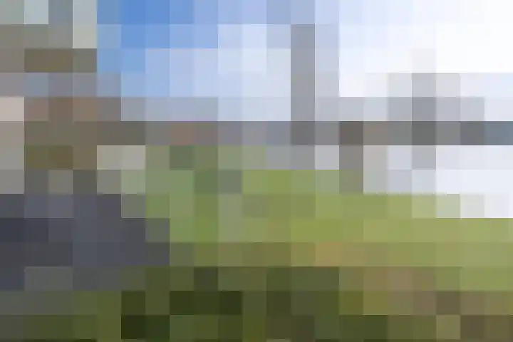 Zutphensestraatweg 94 Dieren thumbnail 5