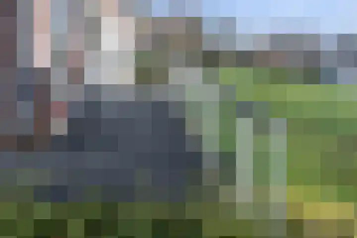 Zutphensestraatweg 94 Dieren thumbnail 6