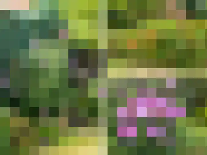 Zutphenseweg 10 a Laren thumbnail 33