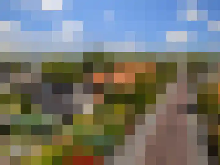 Zutphenseweg 10 a Laren thumbnail 42