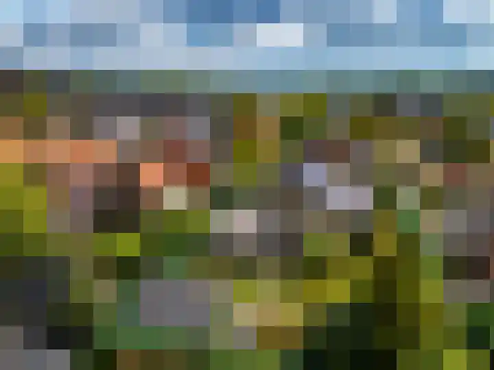 Zutphenseweg 10 a Laren thumbnail 43