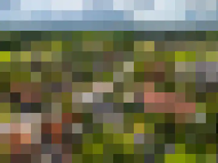 Zutphenseweg 10 a Laren thumbnail 44