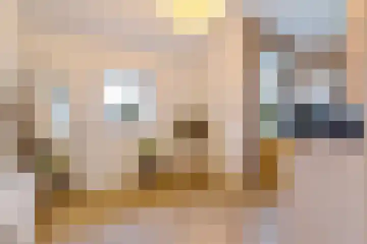 Zutphenseweg 10 Klarenbeek thumbnail 16
