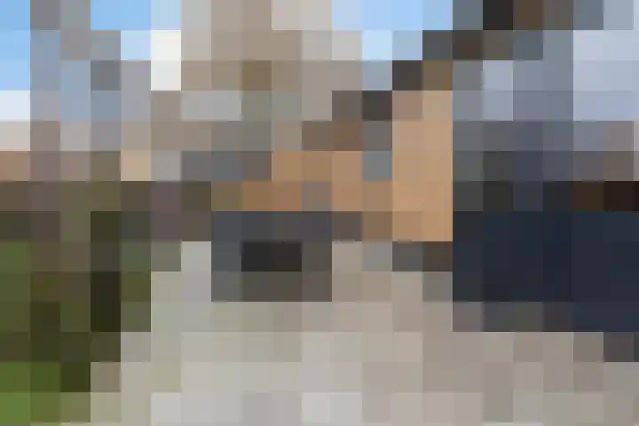 Zutphenseweg 10 Klarenbeek thumbnail 29