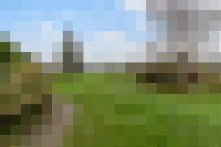 Zutphenseweg 10 Klarenbeek thumbnail 32