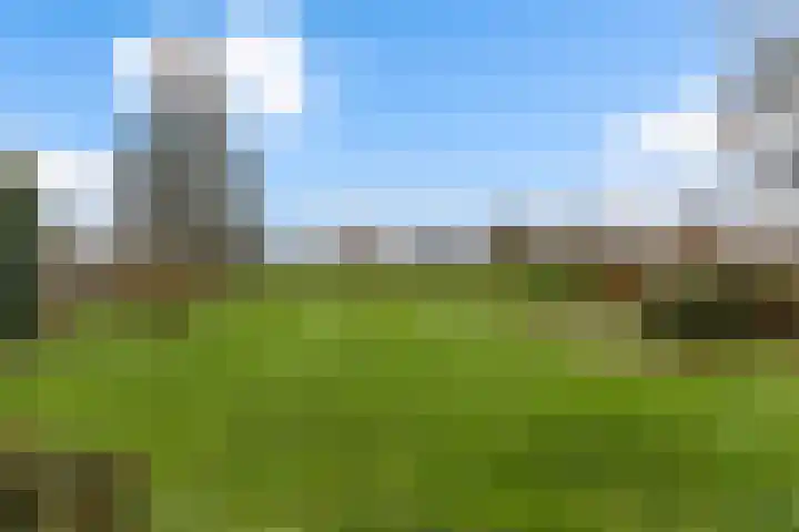 Zutphenseweg 10 Klarenbeek thumbnail 33