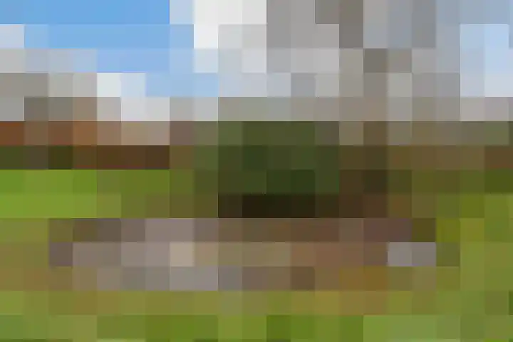 Zutphenseweg 10 Klarenbeek thumbnail 34