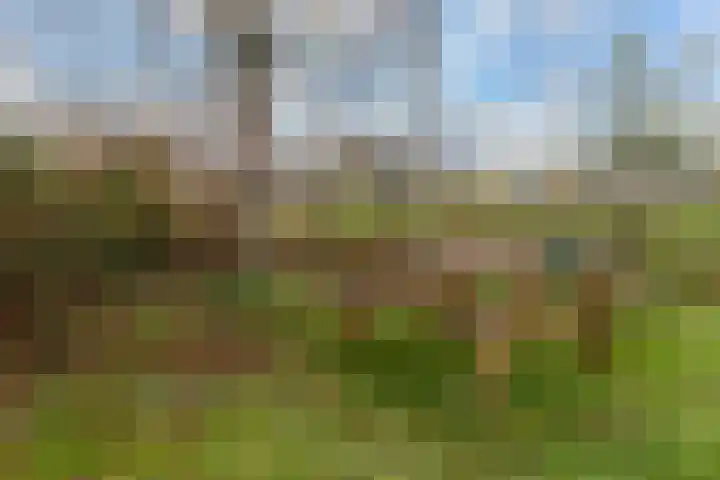 Zutphenseweg 10 Klarenbeek thumbnail 35