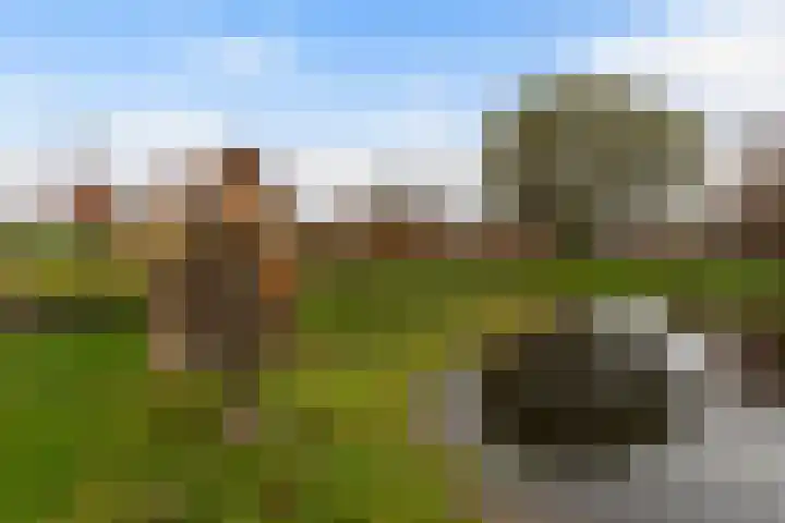 Zutphenseweg 10 Klarenbeek thumbnail 37