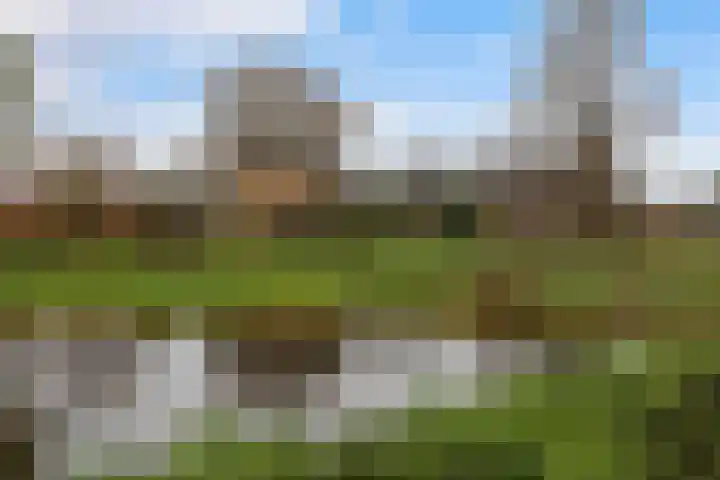 Zutphenseweg 10 Klarenbeek thumbnail 38