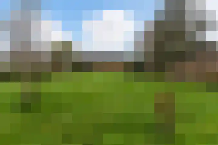 Zutphenseweg 10 Klarenbeek thumbnail 39