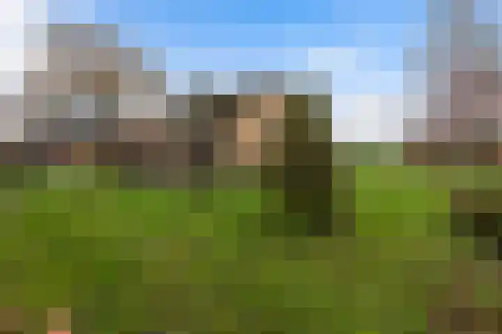Zutphenseweg 10 Klarenbeek thumbnail 41