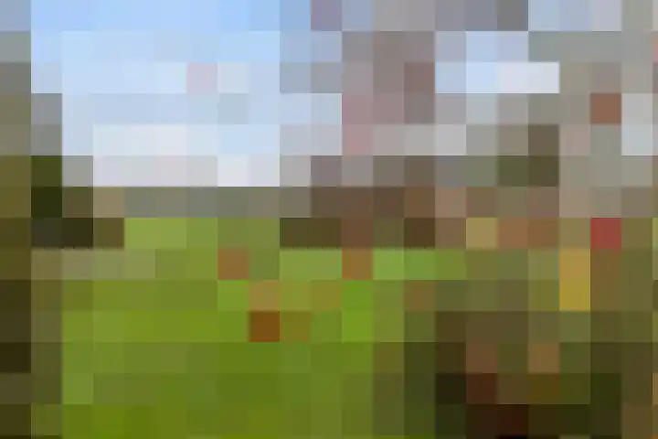 Zutphenseweg 10 Klarenbeek thumbnail 42