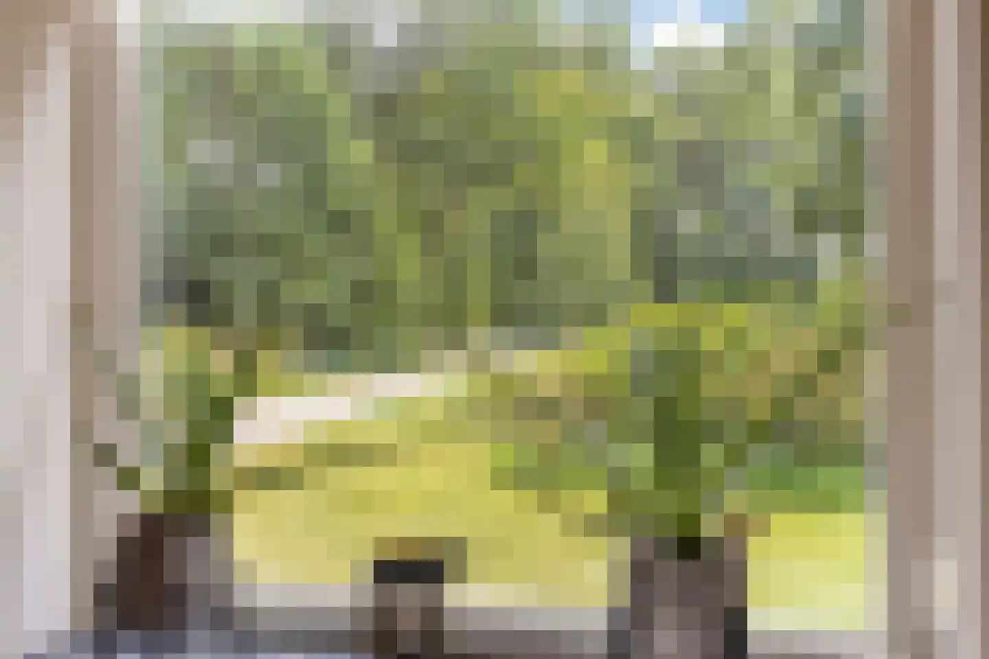 Zutphenseweg 100 Lochem thumbnail 11