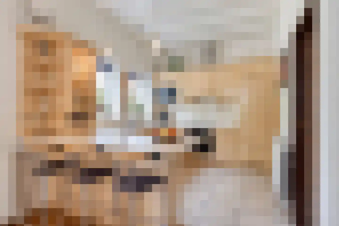 Zutphenseweg 100 Lochem thumbnail 14