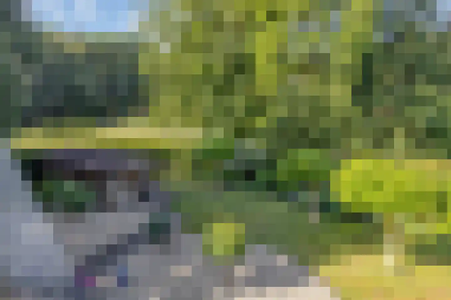 Zutphenseweg 100 Lochem thumbnail 31