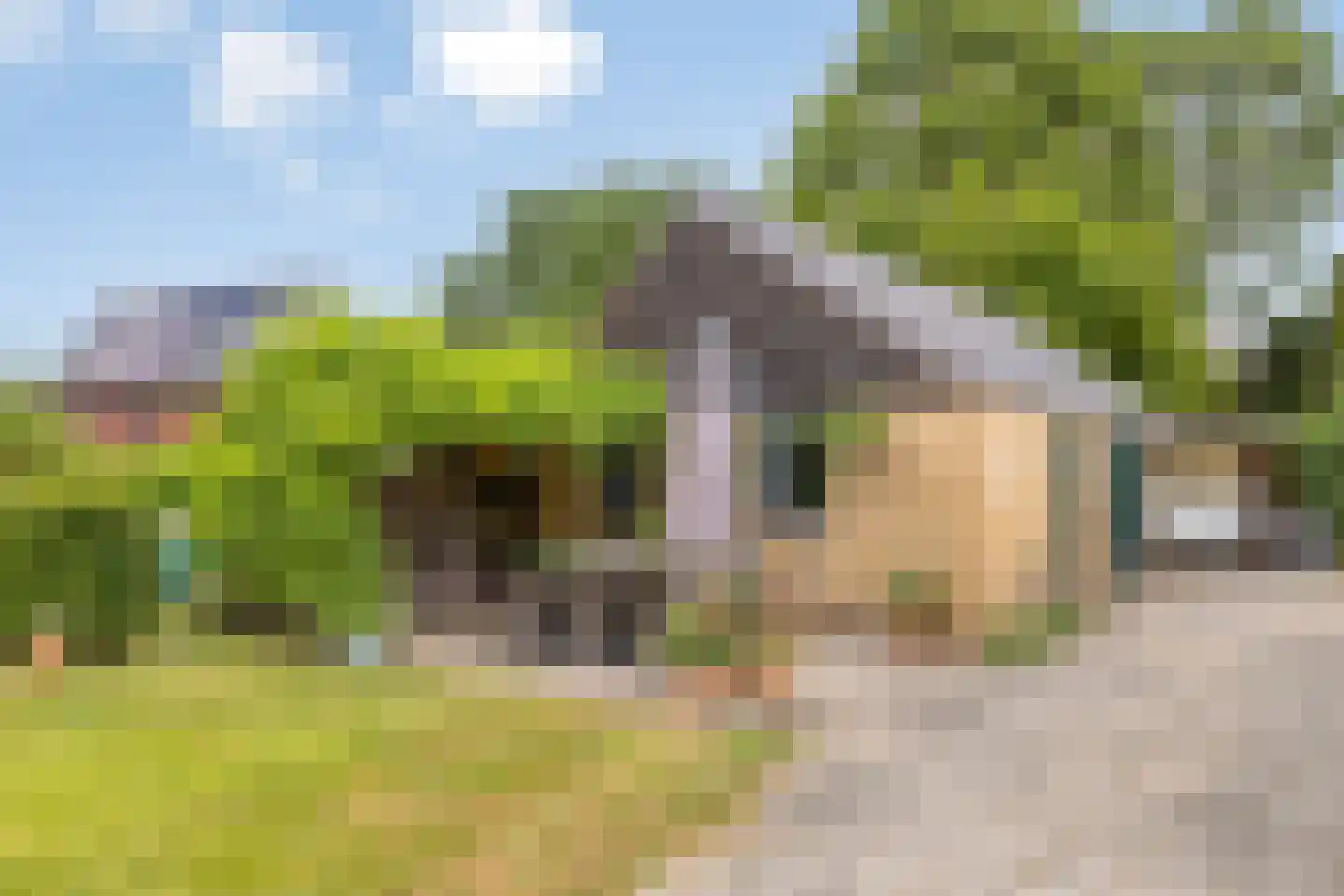 Zutphenseweg 100 Lochem thumbnail 34