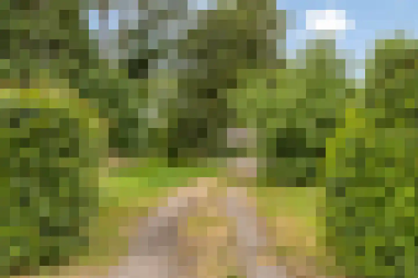 Zutphenseweg 100 Lochem thumbnail 35