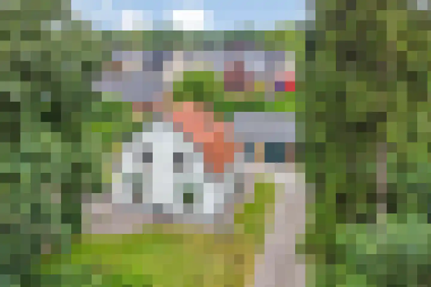Zutphenseweg 100 Lochem thumbnail 38