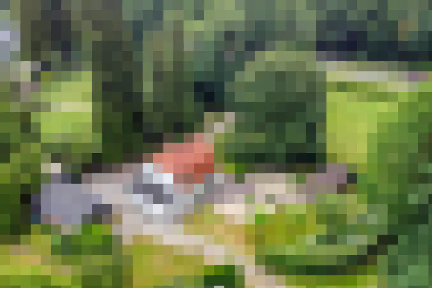 Zutphenseweg 100 Lochem thumbnail 4
