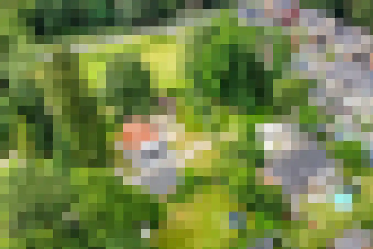 Zutphenseweg 100 Lochem thumbnail 43