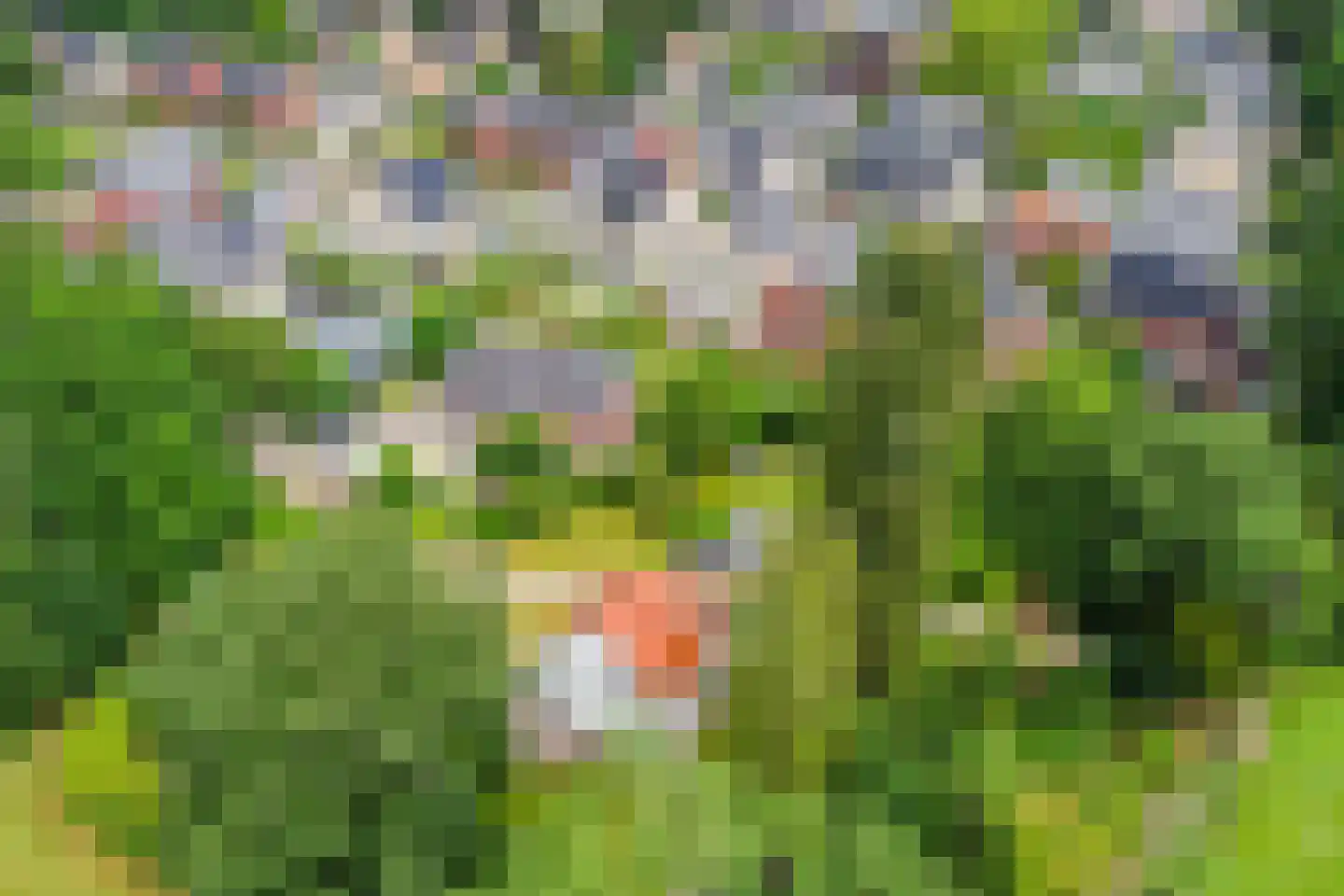 Zutphenseweg 100 Lochem thumbnail 45