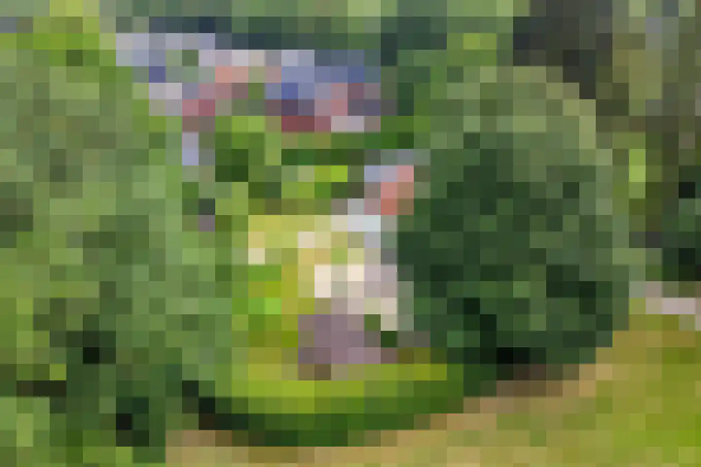 Zutphenseweg 100 Lochem thumbnail 46