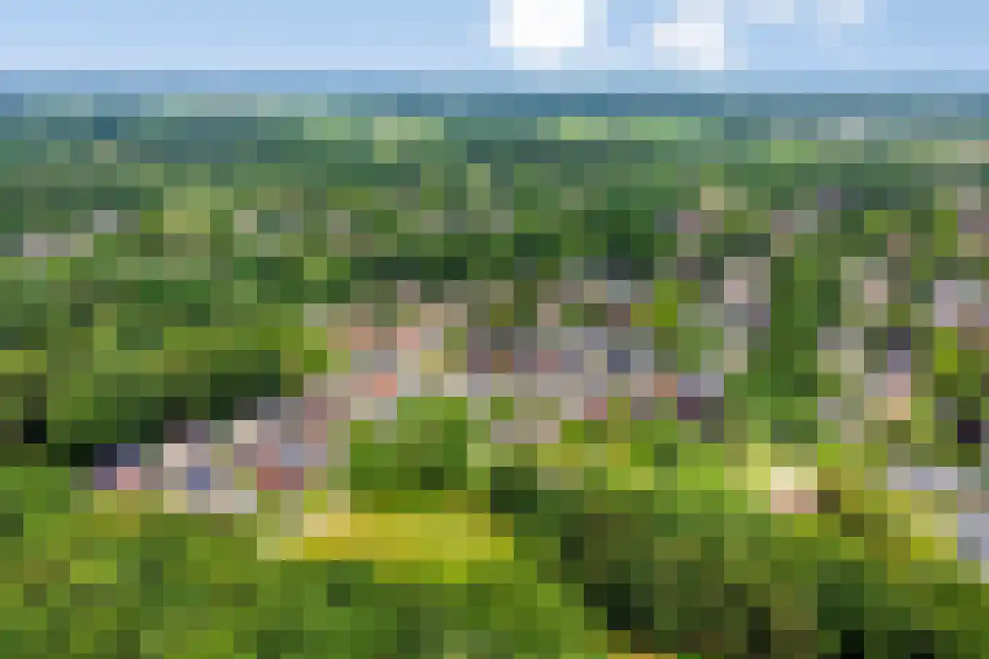 Zutphenseweg 100 Lochem thumbnail 49