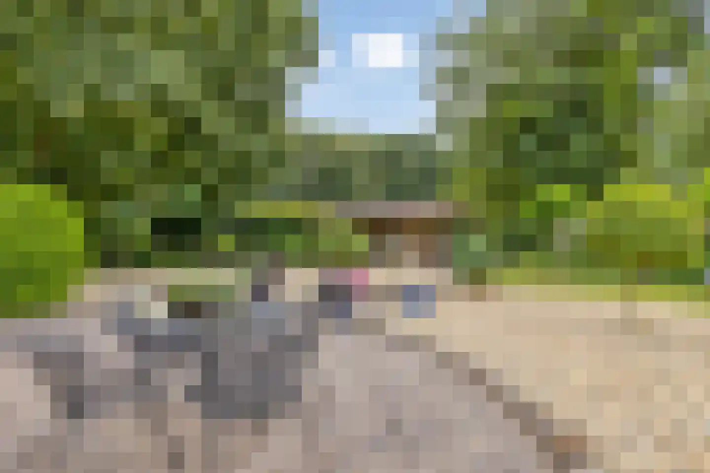 Zutphenseweg 100 Lochem thumbnail 5