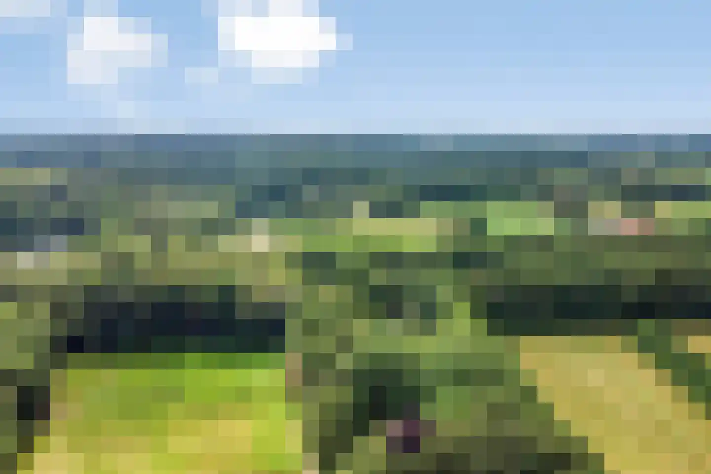 Zutphenseweg 100 Lochem thumbnail 50