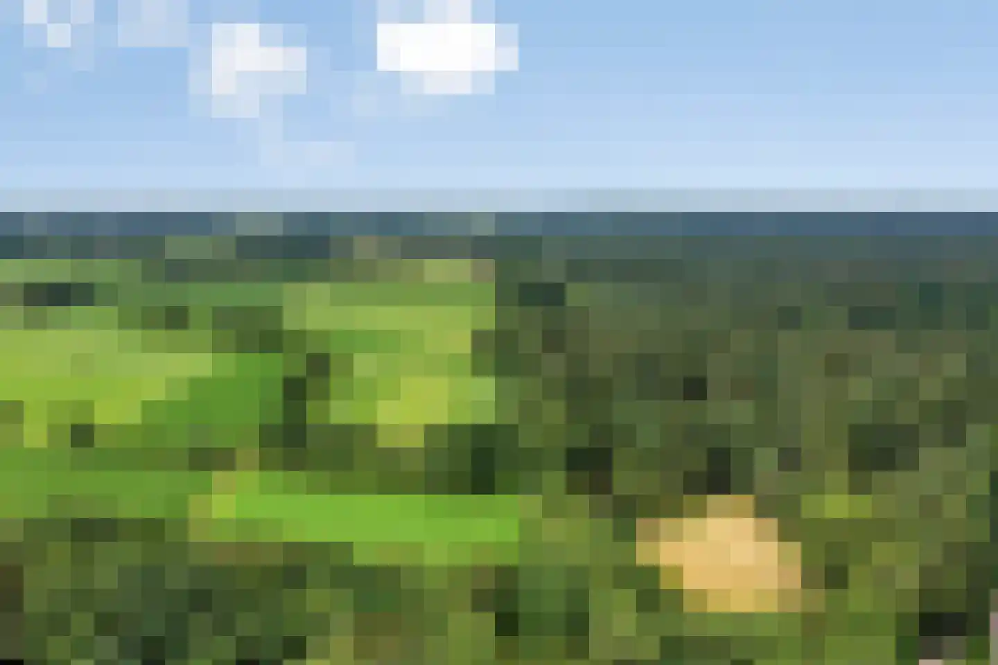 Zutphenseweg 100 Lochem thumbnail 51