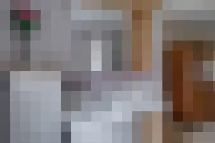 Zutphenseweg 11 Laren thumbnail 14